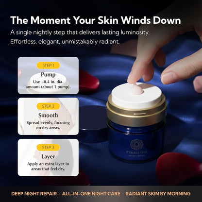 PERFECT ONE® Night Cream