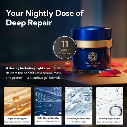 PERFECT ONE® Night Cream
